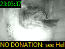 23:03:37