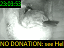 23:03:53