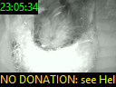 23:05:34
