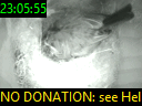 23:05:55