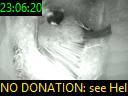 23:06:20