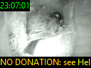 23:07:01