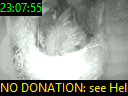 23:07:55