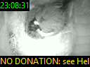 23:08:31