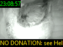 23:08:57