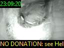 23:09:20