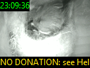 23:09:36