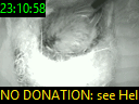 23:10:58