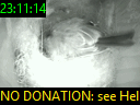 23:11:14