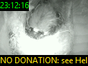 23:12:16