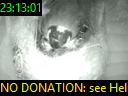 23:13:01