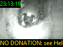 23:13:19