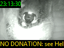 23:13:30