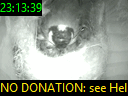 23:13:39