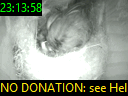 23:13:58