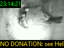 23:14:21