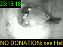 23:15:18