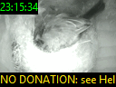 23:15:34