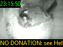 23:15:50