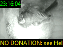 23:16:04