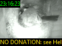 23:16:23