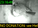 23:16:49
