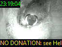 23:19:04