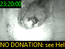 23:20:00