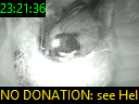 23:21:36