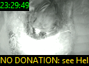 23:29:49
