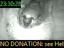 23:30:28