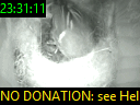 23:31:11