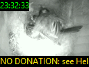 23:32:33