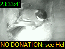 23:33:41