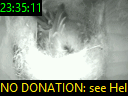 23:35:11