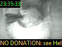 23:35:33