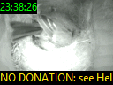 23:38:26