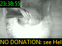 23:38:55