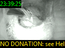 23:39:25