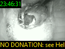 23:46:31