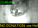 23:46:49