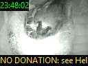 23:48:02