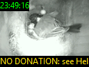 23:49:16