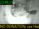 23:49:25