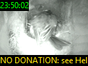23:50:02