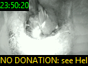 23:50:20