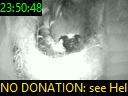23:50:48