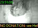 23:51:08