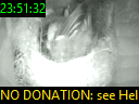 23:51:32