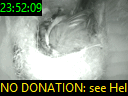 23:52:09